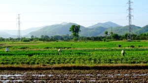 wunderschöne Landschaft