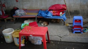 Hier wohnt jemand :(