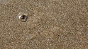 heißer,blubbernder Sand